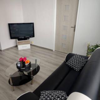 Prodej bytu 2+1 50 m² České Budějovice