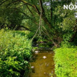 Prodej louky 4 957 m² Broumy