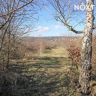 Pronájem ostatních pozemků 4956 m&sup2; Roztoky