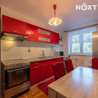 Prodej bytu 3+1 60 m² Líně