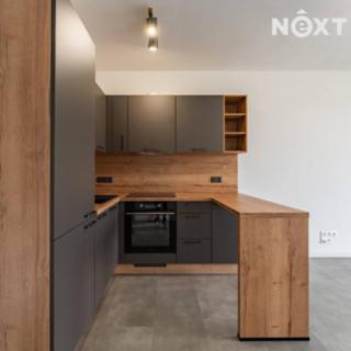 Pronájem bytu 1+kk a garsoniéry 28 m² Olomouc Řepčín, Aloise Rašína
