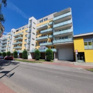 Prodej bytu 1+kk, garsoniery 42 m² České Budějovice