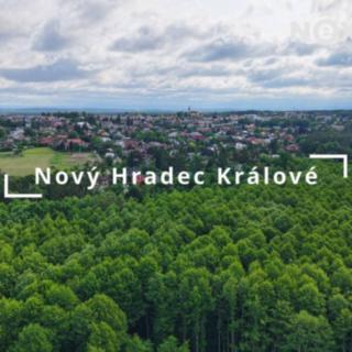 Prodej chaty 52 m² Hradec Králové