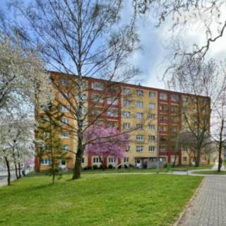 Pronájem bytu 3+1 68 m² Chodov, ČSA