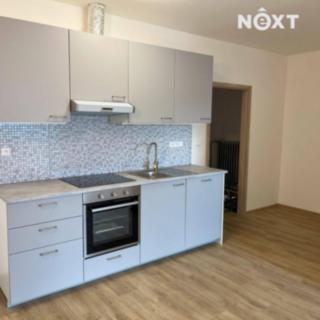 Pronájem bytu 2+kk 57 m² Radnice, náměstí Kašpara Šternberka