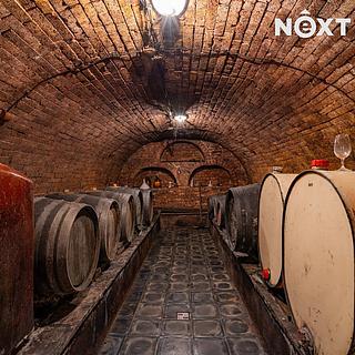 Prodej restaurace 450 m² Mutěnice