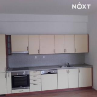 Pronájem bytu 1+kk a garsoniéry 19 m² Černý Důl Fořt