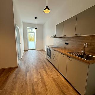 Pronájem bytu 1+kk a garsoniéry 53 m² Mladé Buky