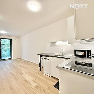 Pronájem bytu 1+kk a garsoniéry 38 m² Praha Břevnov, Radimova