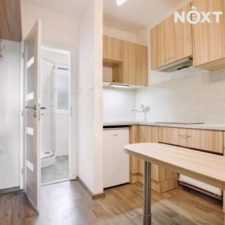 Pronájem bytu 1+kk a garsoniéry 27 m² Žatec, Sládkova
