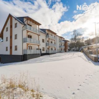 Prodej bytu 1+kk, garsoniery 55 m² Vrbno pod Pradědem