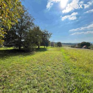 Prodej stavební parcely 962 m² Bařice-Velké Těšany Velké Těšany