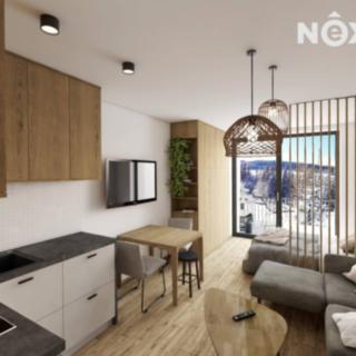 Prodej bytu 1+kk a garsoniéry 27 m² Čachrov Javorná
