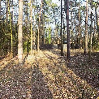 Prodej stavební parcely 881 m² Brandýs nad Labem-Stará Boleslav Stará Boleslav