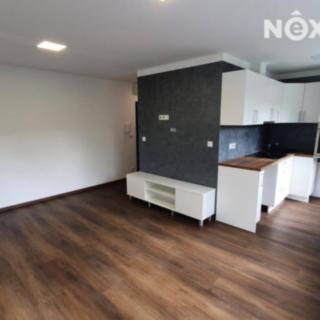 Pronájem bytu 1+1 28 m² Ostrava Poruba, Ježkova