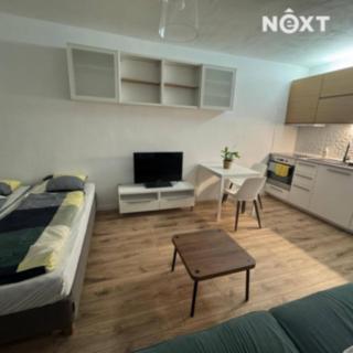 Pronájem bytu 1+kk, garsoniery 29 m² Karviná