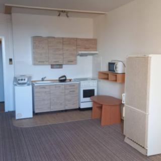 Pronájem bytu 1+kk a garsoniéry 32 m² Ostrava Zábřeh, Závoří
