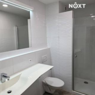 Pronájem bytu 1+1 33 m² Dolní Lutyně, Ke Statku