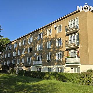 Pronájem bytu 3+1 64 m² Litvínov Horní, K Loučkám