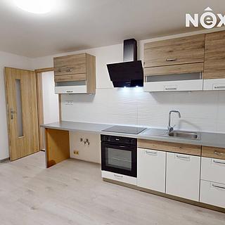 Pronájem bytu 2+1 48 m² Litvínov Hamr, Chemiků