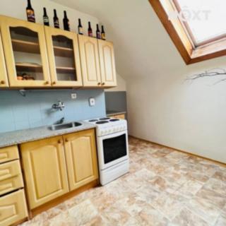 Pronájem bytu 2+1 47 m² Strmilov Česká Olešná