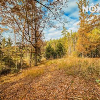 Prodej lesa 10 398 m² Ostřetín