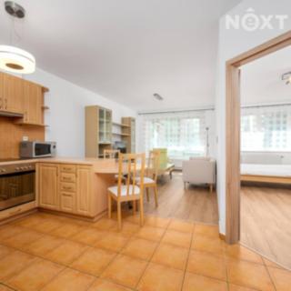 Pronájem bytu 2+kk 55 m² Praha