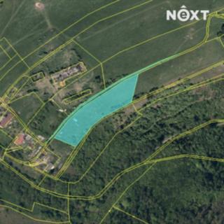Prodej ostatního pozemku 10 158 m² Vítkov