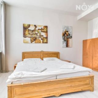 Pronájem bytu 1+kk a garsoniéry 22 m² Orlová Poruba, Těšínská