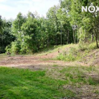 Prodej stavební parcely 2 894 m² Zalešany