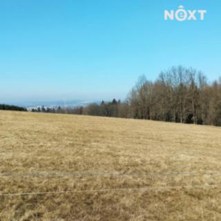 Prodej louky 2 924 m² Staré Hodějovice