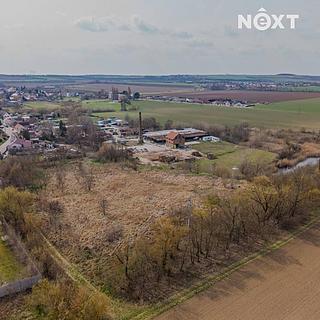 Prodej ostatních pozemků 6663 m&sup2; Jiřice u Miroslavi
