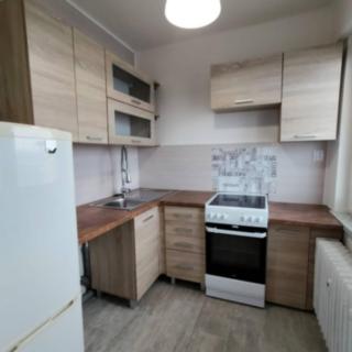 Pronájem bytu 1+1 30 m² Ostrava Poruba, Řecká