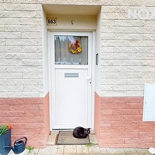 Prodej bytu 4+1 110 m² Krupka Bohosudov, Dlouhá