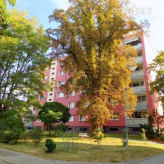 Pronájem bytu 2+1 56 m² Česká Lípa, Újezd