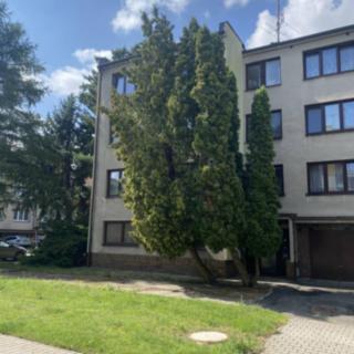 Prodej bytu 3+1 71 m² Pečky, V Horkách
