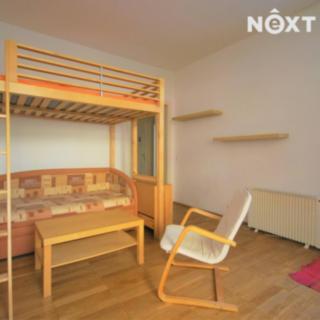 Pronájem bytu 1+1 41 m² Praha