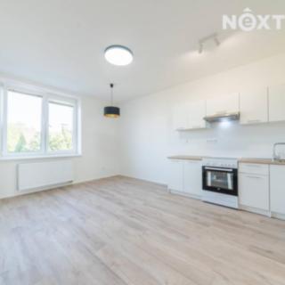 Pronájem bytu 3+kk 55 m² Ostrava Přívoz, Palackého