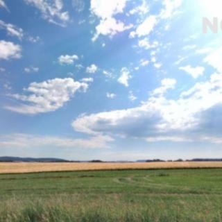Prodej zemědělské půdy 50 111 m² Albrechtice nad Vltavou Jehnědno