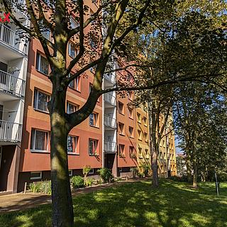 Pronájem bytu 1+1 36 m² Ústí nad Labem Střekov, Truhlářova