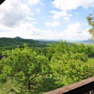Prodej zahrady 726 m² Kamýk