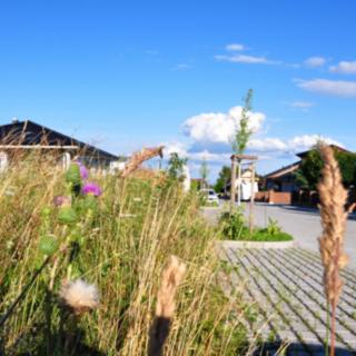 Prodej stavební parcely 970 m² Litoměřice Pokratice