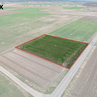 Prodej zemědělské půdy 3 665 m² Terezín České Kopisty