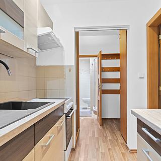 Pronájem bytu 2+1 43 m² Ústí nad Labem Severní Terasa, Brandtova