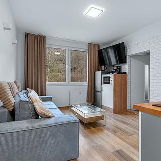 Pronájem bytu 2+kk 35 m² Ústí nad Labem Střekov, Novoveská