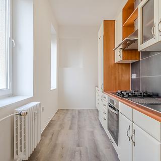 Prodej bytu 2+1 82 m² Ústí nad Labem Neštěmice, Železná