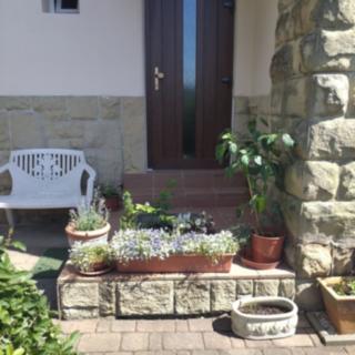 Pronájem bytu 2+1 68 m² Děčín