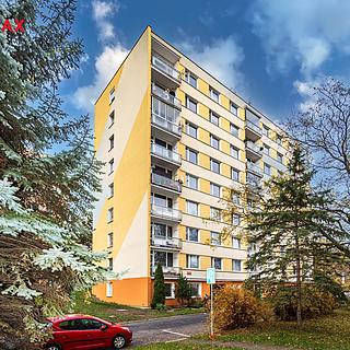 Pronájem bytu 1+1 36 m² Litoměřice Předměstí, Vrchlického