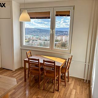 Pronájem bytu 1+1 42 m&sup2; Ústí nad Labem