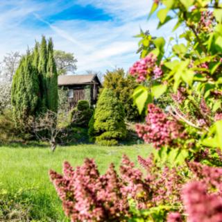 Prodej zahrady 1 106 m² Teplice Řetenice